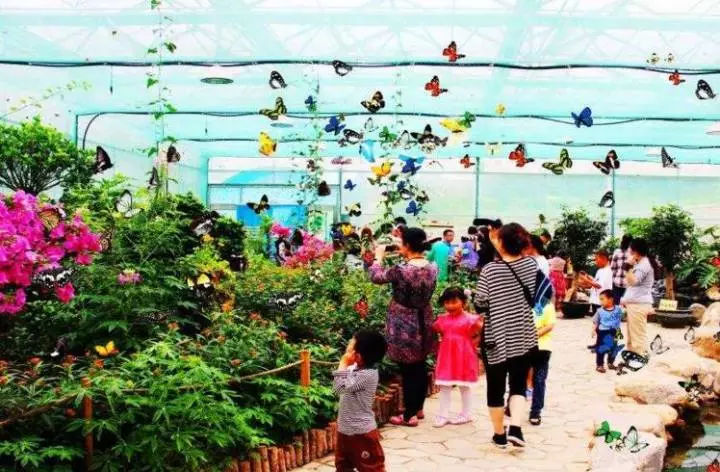 鏂版槬浣宠妭鍒板勾鍛虫棩娓愭祿,鏄ヨ妭鍒板枩姘旀磱娲嬭繋鏂板勾