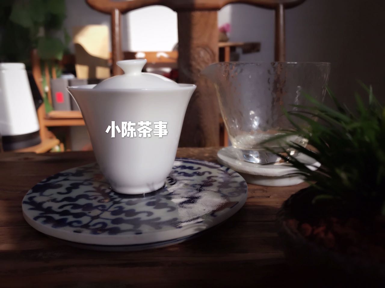 飘逸杯为什么不能泡水,飘逸杯泡白茶冲泡方法