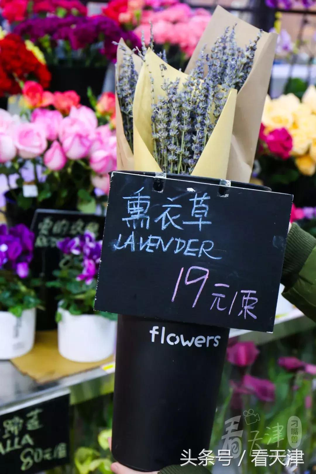 天津大胡同市集,天津最全年货市集都在这儿了