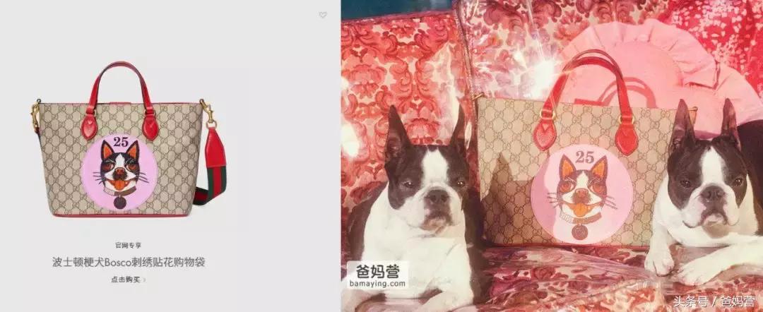 囧！LV、Gucci、Dior的狗年限量款！你们考虑过狗的感受吗？