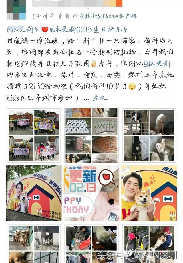 林更新生日满足粉丝愿望,林更新祝福赵丽颖生日