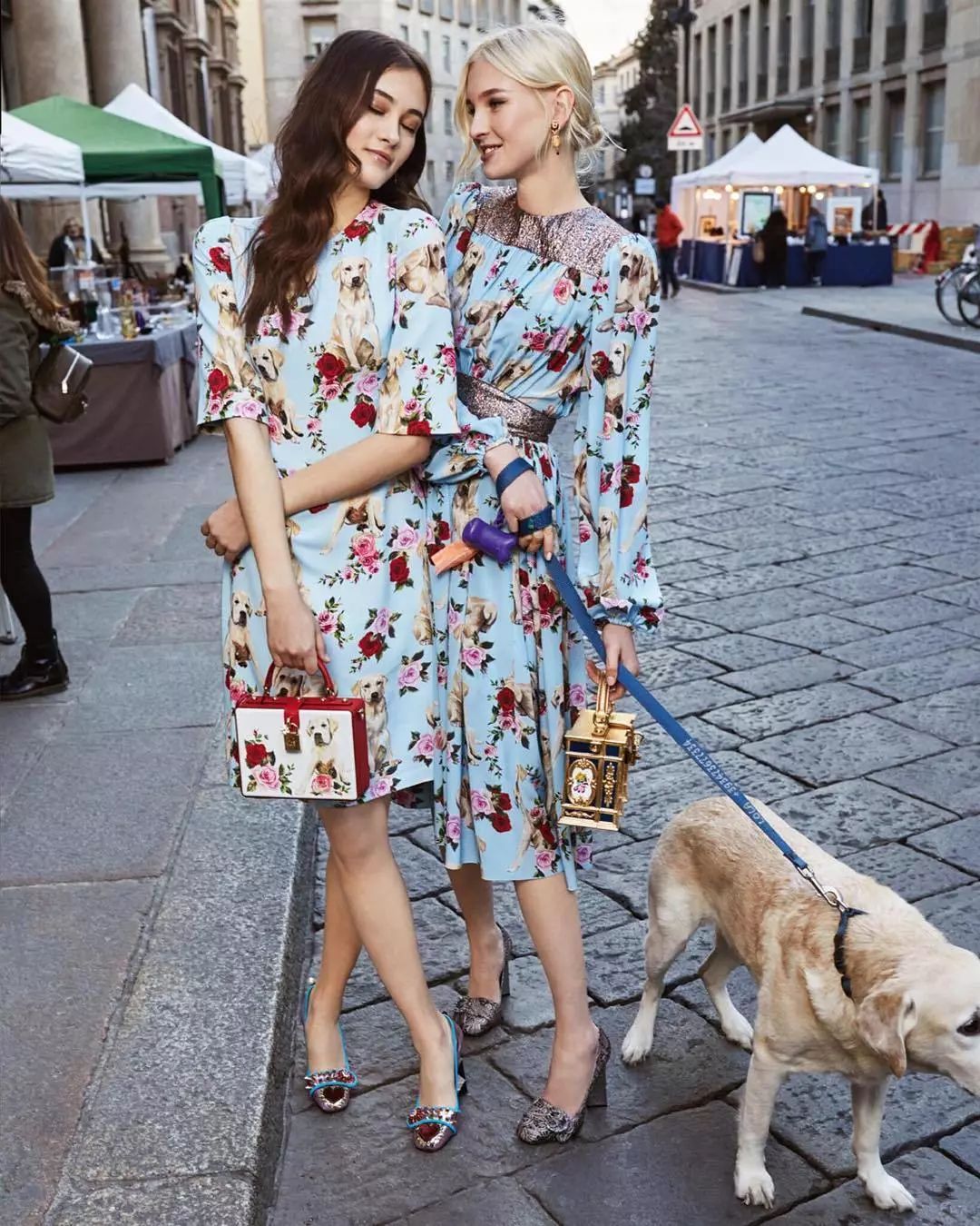 狗年限定,哪家的狗最吸引小仙女注意?万里挑一丨品臻