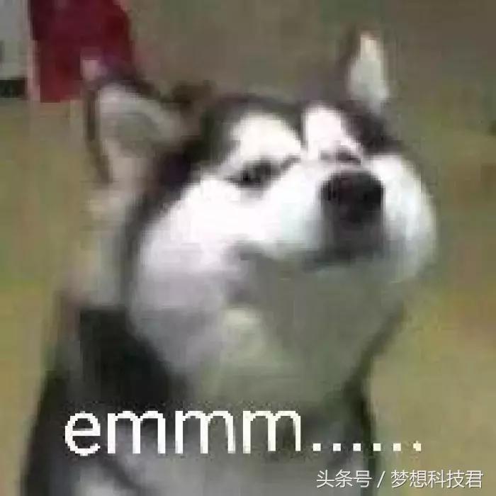 十大知名网络病毒,网络病毒排行榜十大病毒