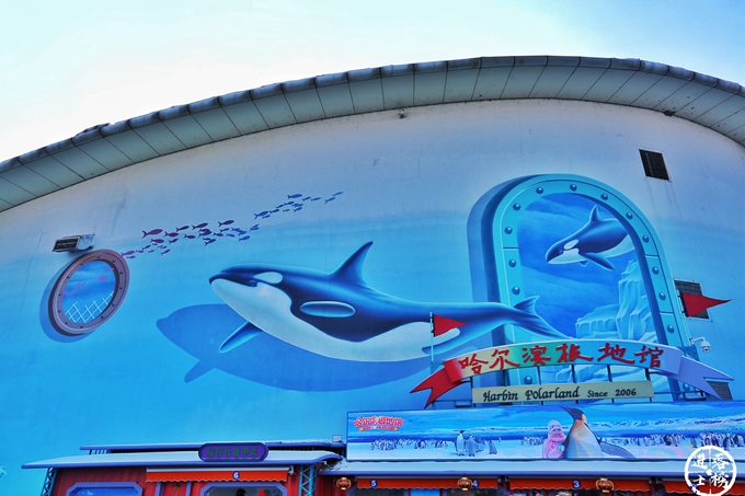 哈尔滨极地馆体验,哈尔滨极地馆之精彩瞬间