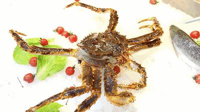 天津超级大市集,天津大胡同年货市场