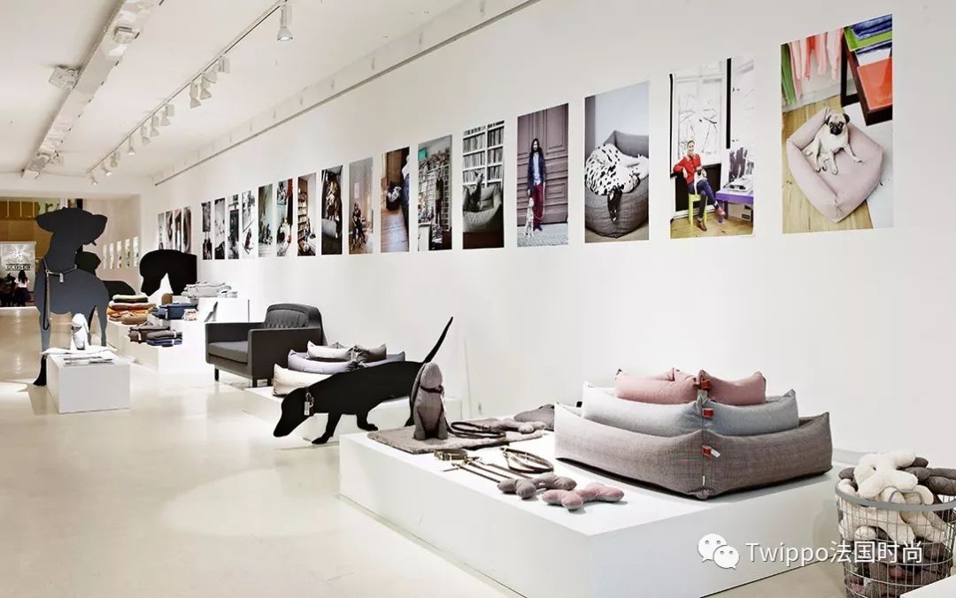 吐槽完了狗年单品，你给你的狗主子买了什么？