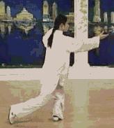 太极二十四式入门基本动作,太极入门学24式吗