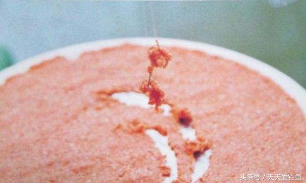 拉饵怎么配饵最好,十大拉饵技巧和方法