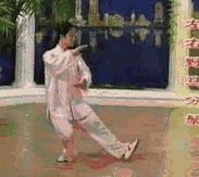 太极二十四式入门基本动作,太极入门学24式吗