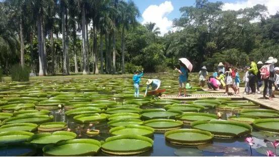 云南过大年,云南过大年怎么样的
