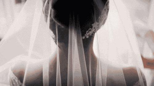 2月拍的视频,2月大片