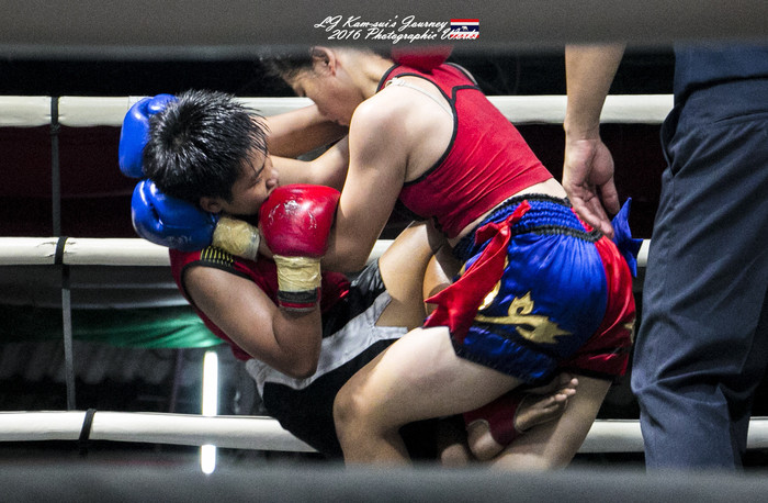 清迈佛寺之城等你采撷的泰北玫瑰,清迈环球旅行家