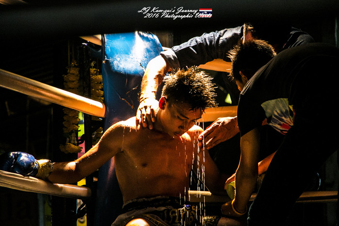 清迈佛寺之城等你采撷的泰北玫瑰,清迈环球旅行家