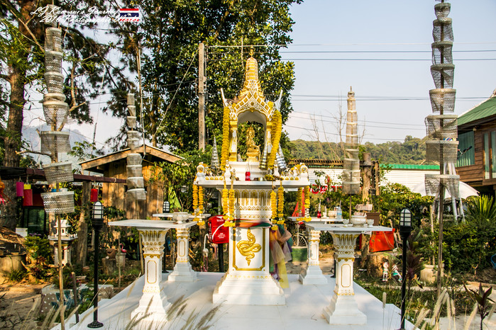 清迈佛寺之城等你采撷的泰北玫瑰,清迈环球旅行家