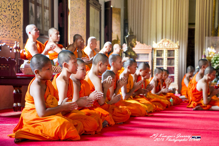 泰国清迈县旅行者,清迈佛寺之城等你采撷的泰北玫瑰
