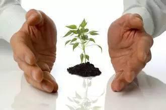 微语·咨讯与癌共生的秘密——肿瘤“绿色治疗”模式（上）