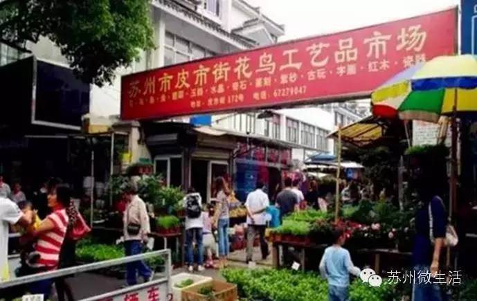 吐血整理，苏州全能省钱手册！从吃到用全都有，超实用