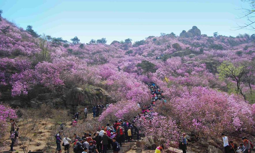 恒大金沙滩壹号,恒大滨海文旅城