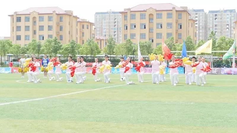 信阳市第五届市长杯足球赛,信阳市第7届足球赛