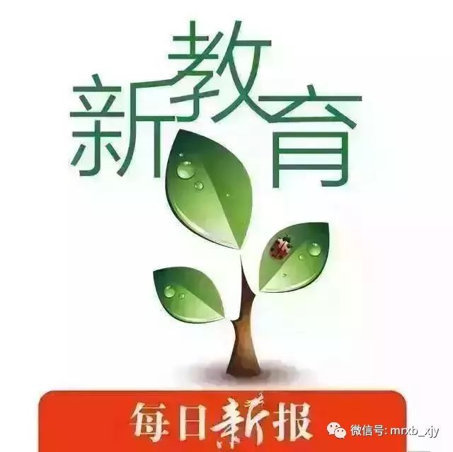 独家｜专访和平区政协副主席、和平区教育局局长张素华建设更美校园培养更优秀学生