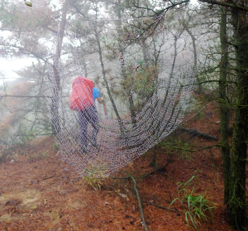 蒙山三十六计之十六：雨潜麻峪环古寺