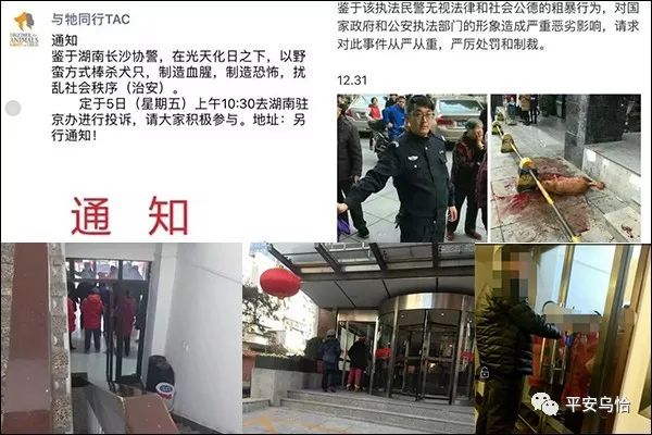 戊戌年属狗今年多大岁数,戊戌年下半年狗人运势