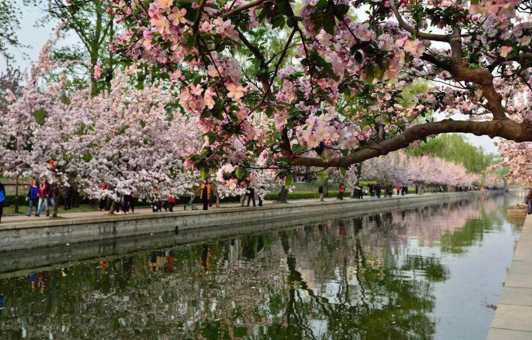 10涓ソ鐪嬬殑鑺辨捣鍦扮偣鎺ㄨ崘,蹇呭幓鑺辨捣鎺ㄨ崘娴极鑺辨捣