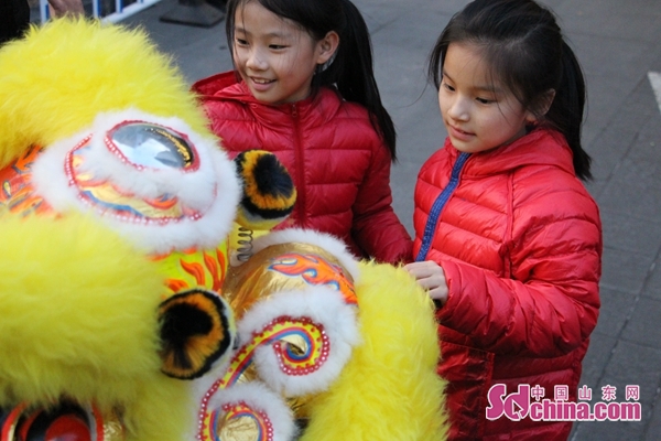 龙腾狮舞闹元宵活动大盘点,巴中龙腾狮舞闹元宵