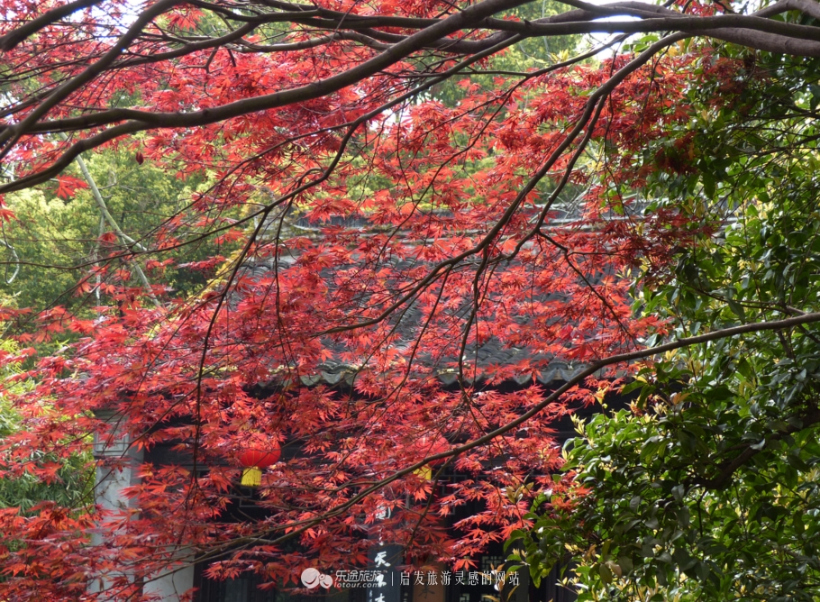古香古色无锡惠山古镇半日游,无锡的惠山古镇值得去吗