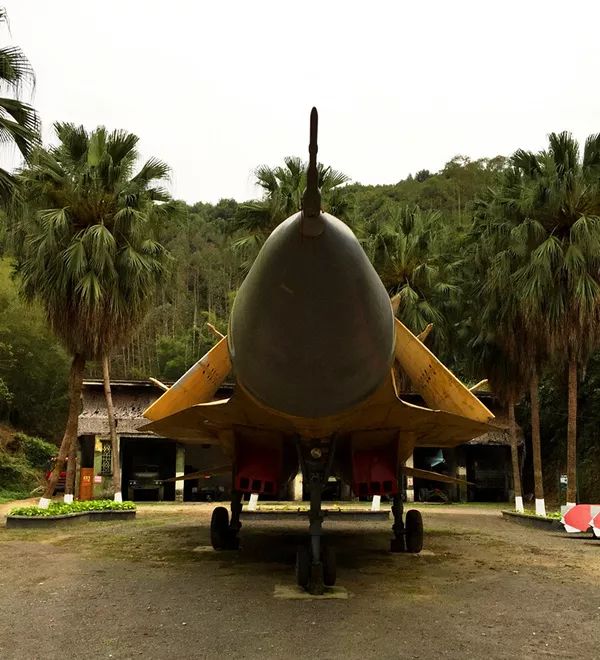 广东三八节门票免费的景点,三八女神节哪个旅游景区免票