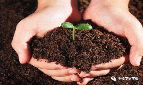 内膜性不孕怎么办？