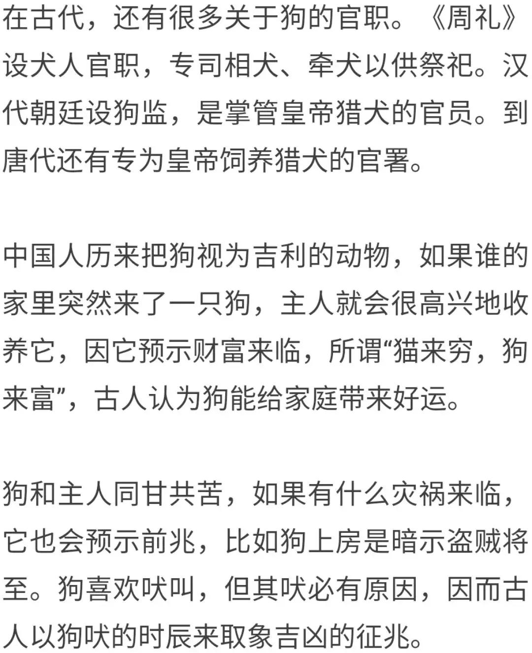 狗有八德,狗有黄金精神