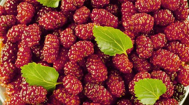 骨质疏松患者要常吃这些食物,治疗骨质疏松吃什么水果