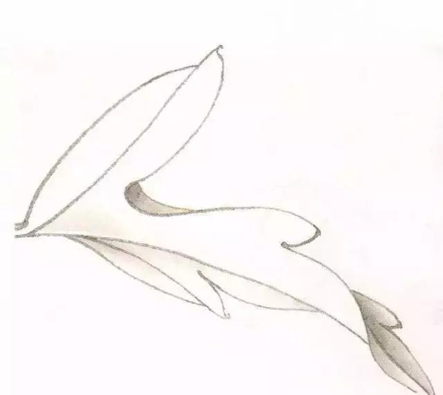 工笔画粉红花染色步骤,10分钟学会工笔画花朵染色