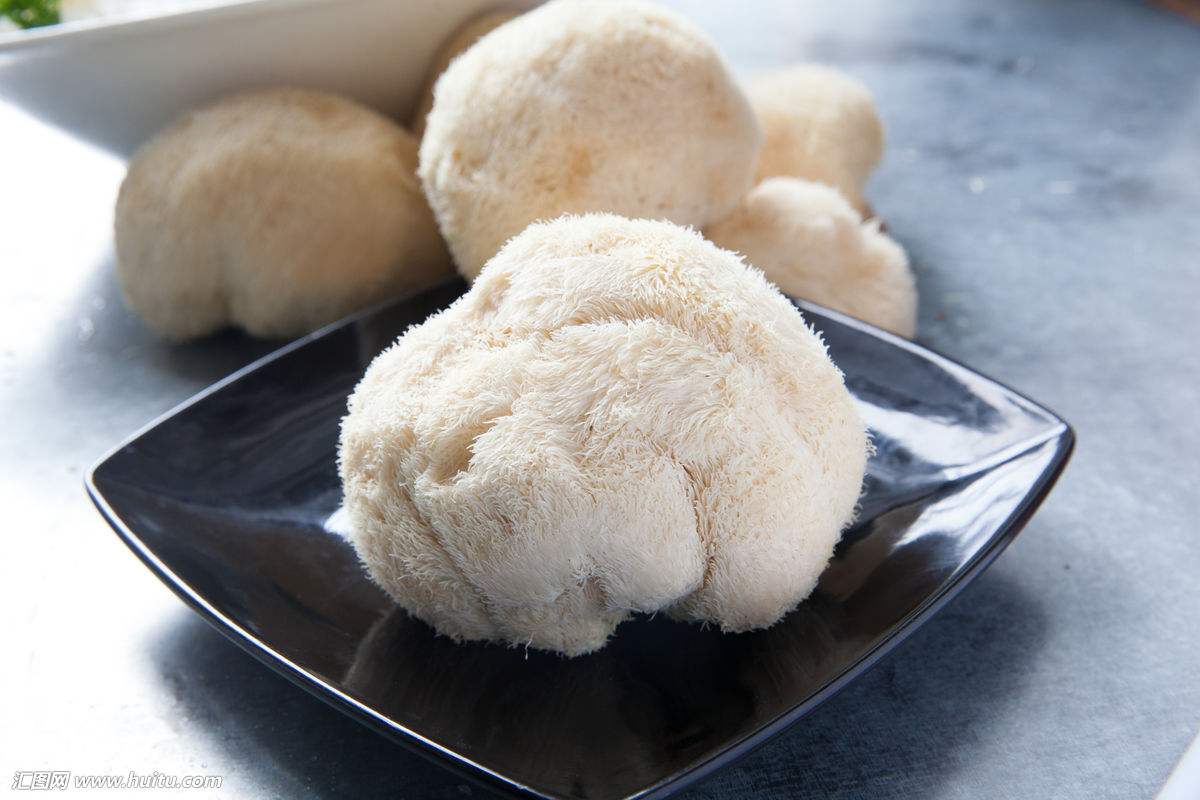 猴头菇粉养胃吗,猴头菇养胃神器