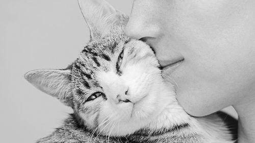 浣犵殑鐚吇鐨勫拫鏍蜂簡,浣犵殑鐚挭椹辫櫕浜嗗悧