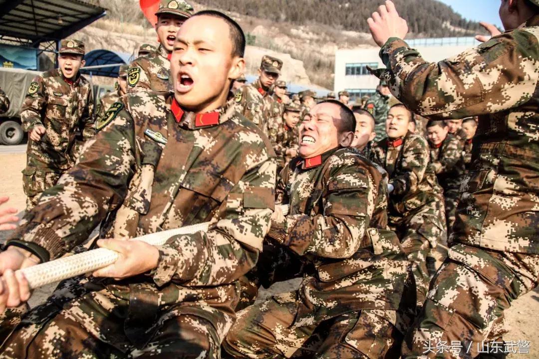 大年七天活动,过年氛围活动