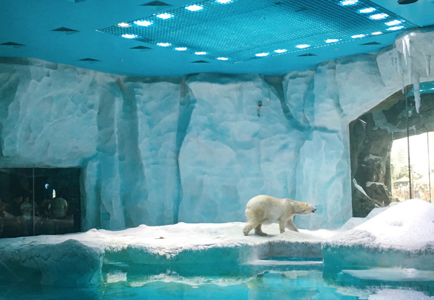 去珠海长隆海洋王国住哪里好,玩转珠海长隆海洋王国全攻略