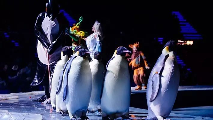 去珠海长隆海洋王国住哪里好,玩转珠海长隆海洋王国全攻略