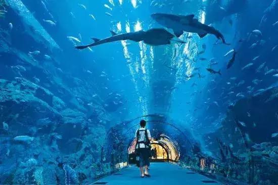 鼓浪屿红瓦绿树,走进厦门鼓浪屿视频