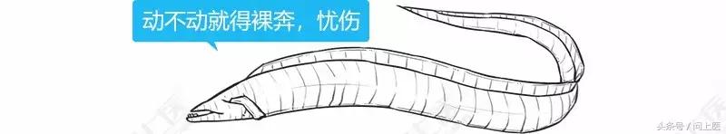 为什么别人的头发总是光滑柔顺你的却毛躁不堪？漫画教你如何护发