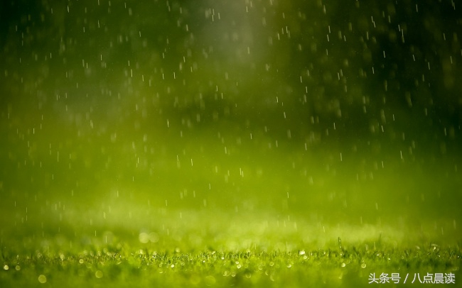 辽夏金元时期医事制度