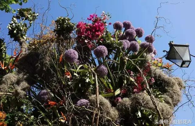 花卉界“奥斯卡”切尔西花展：无限美的花园设计是怎样的？