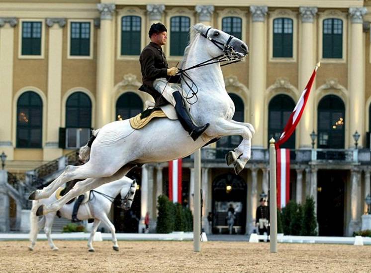 德奥丨一人出行又冷清又贵?快来优程拼团吧!来一次浪漫艺术之旅