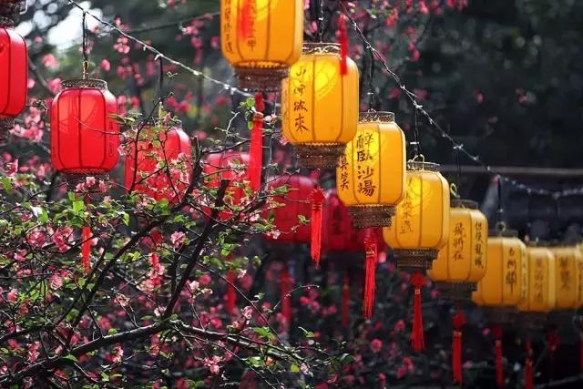 安逸，成都各区县的海棠花开了，周末带上家人或朋友踏春去哦