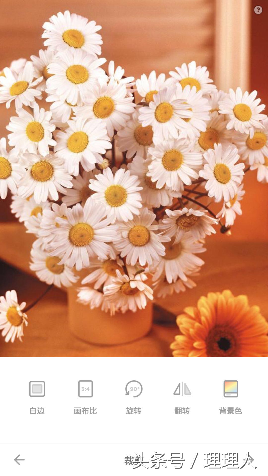 文字p图教程黄油相机,图片文字模糊化处理黄油相机