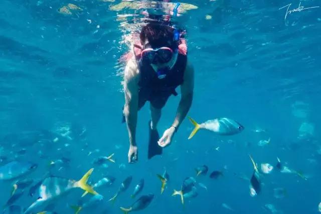 帕劳深度游出海,帕劳深潜体验