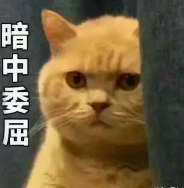 你经历过哪些稀奇尴尬的婚礼现场,你在婚礼上有没有遇到尴尬的事