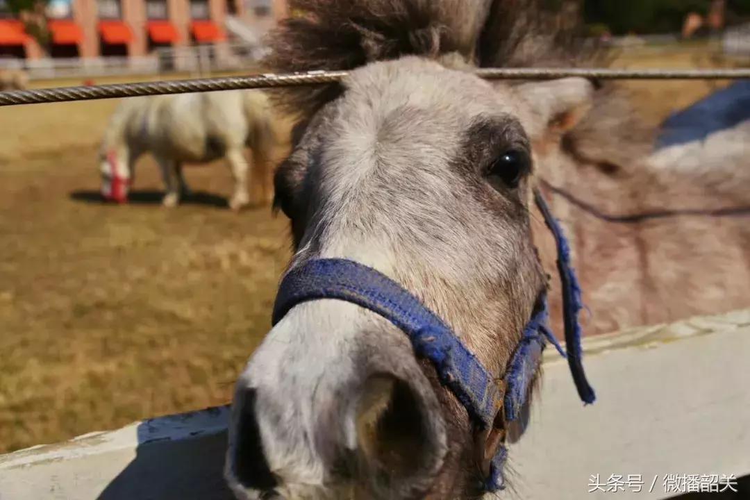 接招吧！开趴，其实还可以这Young过！