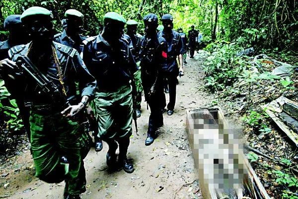 五脏六腑与其他组织的关系,五脏六腑都是独立的器官